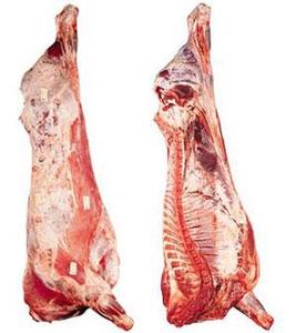 FROZEN-BEEF-CARCASS